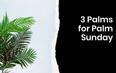 Three Palms for Palm Sunday