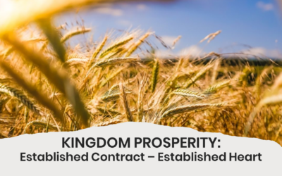 Established Contract – Established Heart