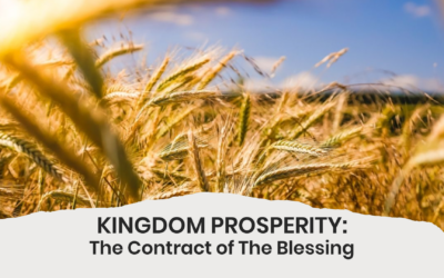 The Contract of The Blessing
