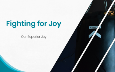 Fighting for Joy