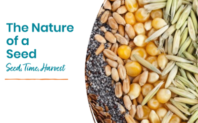 Seed, Time, Harvest
