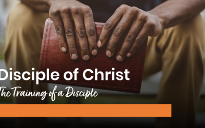The Training of a Disciple