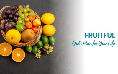 God’s Plan for Your Life
