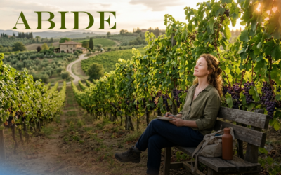 Abide